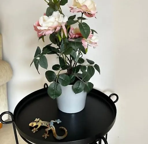 Violetas Del Teide Lägenhet Puerto de la Cruz (Tenerife)