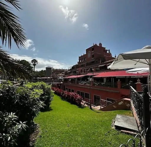 Violetas Del Teide * Puerto de la Cruz (Tenerife)