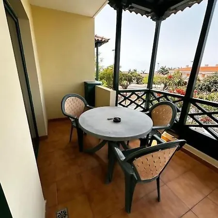 Violetas Del Teide * 푸에르토 드 라 크루즈