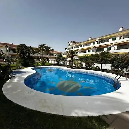 Violetas Del Teide *