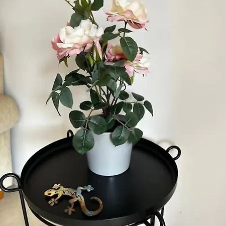 Violetas Del Teide Apartman Puerto de la Cruz