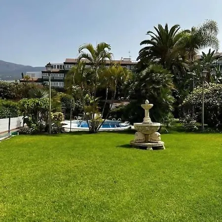 Violetas Del Teide *