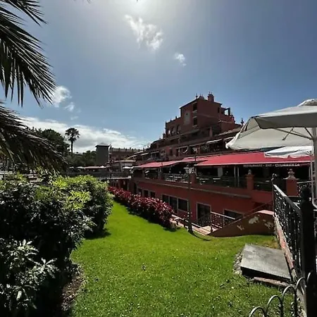 Violetas Del Teide * Puerto de la Cruz