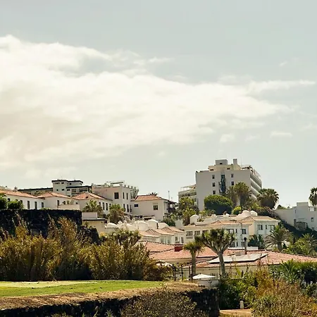 Violetas Del Teide