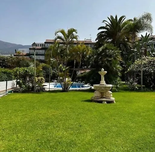 Violetas Del Teide *